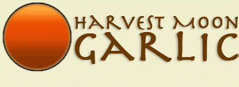 Harvest Moon Garlic